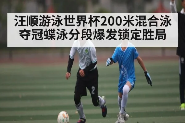 汪顺游泳世界杯200米混合泳夺冠蝶泳分段爆发锁定胜局
